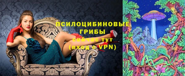 мдпв Вязники