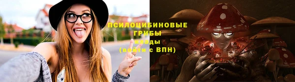 мдпв Вязники
