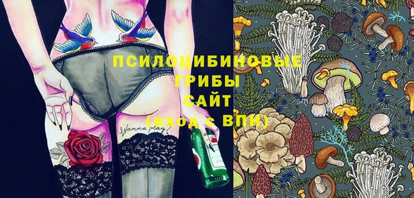 мдпв Вязники